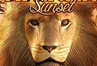 African Sunset Slot