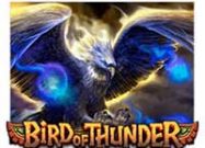 Bird Of Thunder Slots