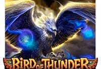 Bird Of Thunder Slots