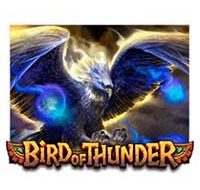 Bird Of Thunder Slots