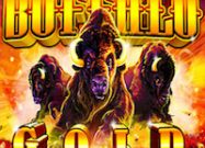 Buffalo Gold Slots