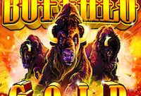 Buffalo Gold Slots