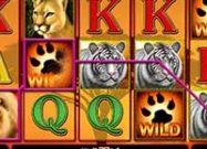 Cats Royal Slots