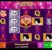 Cutie Cat Slot