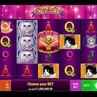 Cutie Cat Slot