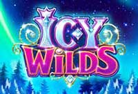 Icy Wilds Slots