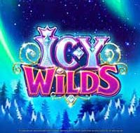 Icy Wilds Slots