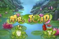 Mr Toad Slot