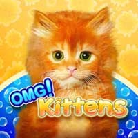 Omg Kittens Slot