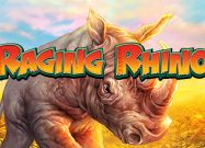 Raging Rhino Slot
