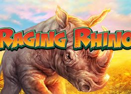 Raging Rhino Slot