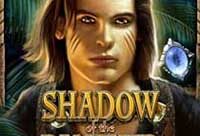 Shadow of the Panther Video Slot