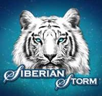 Siberian Storm Slot