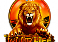 The Wild Life Slot