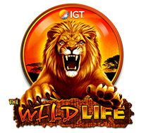 The Wild Life Slot