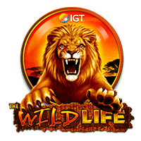 The Wild Life Slot