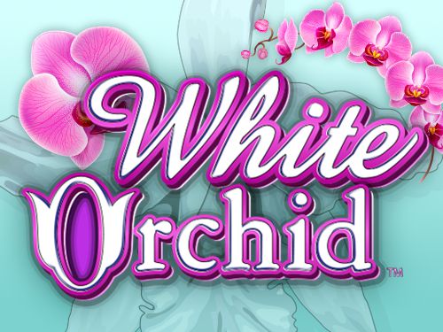 White Orchid Slot