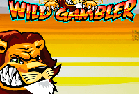 Wild Gambler Slots