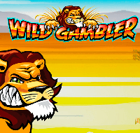 Wild Gambler Slots