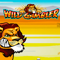 Wild Gambler Slots