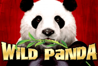Wild Panda Slots