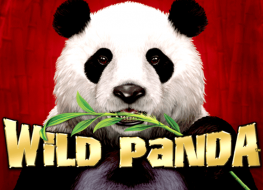Wild Panda Slots