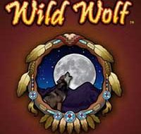 Wild Wolf Slot