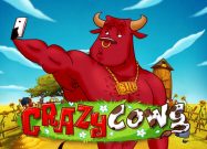 Crazy Cows Slot