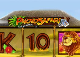Photo Safari Slot